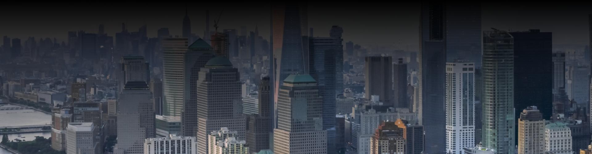 Advisory Services Digital Capital Advisors, LLC